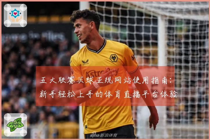 五大联赛买球正规网站使用指南：新手轻松上手的体育直播平台体验分享