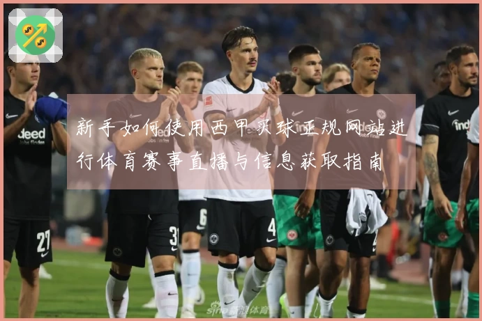 新手如何使用西甲买球正规网站进行体育赛事直播与信息获取指南