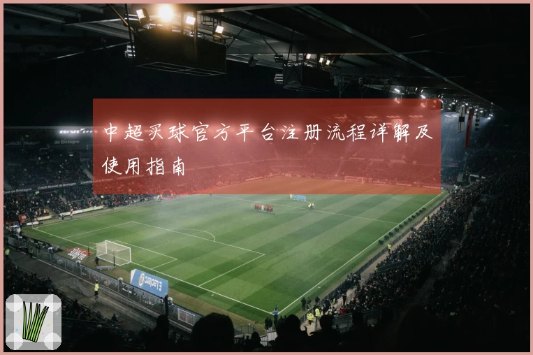 中超买球官方平台注册流程详解及使用指南